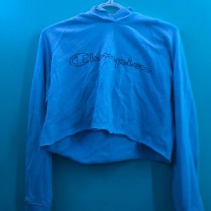 Cropped champion hoodie